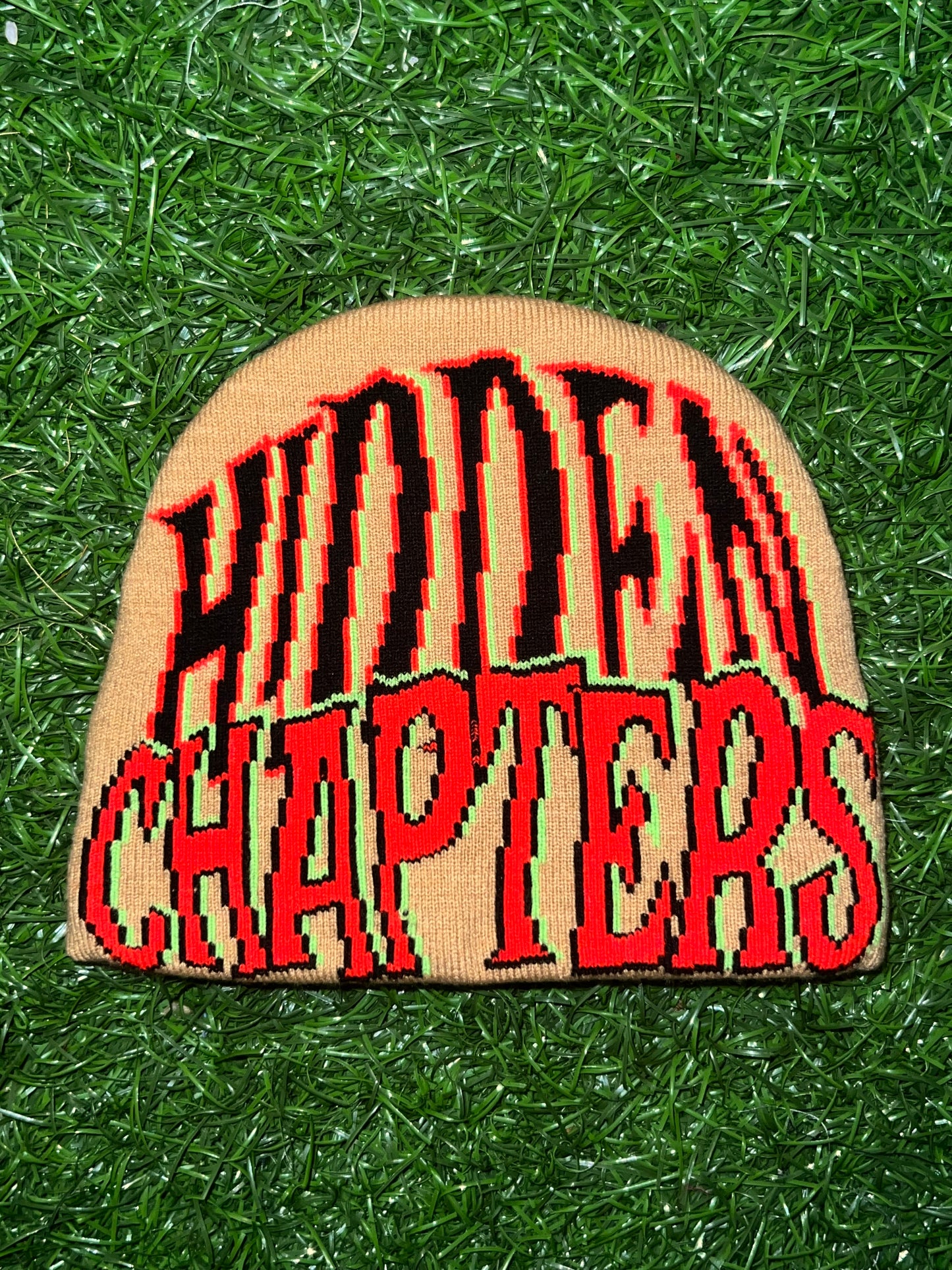 Hidden Chapters Beanie
